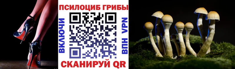 блэк спрут   Верхотурье  Галлюциногенные грибы Psilocybe 